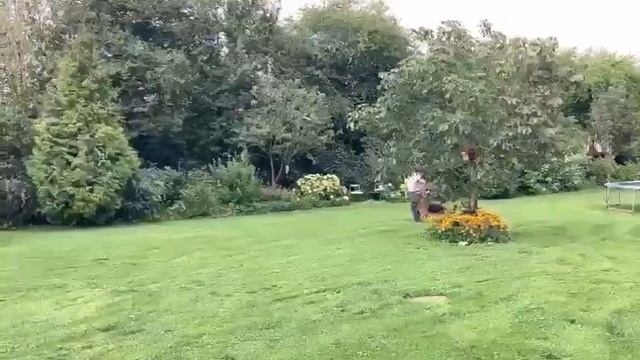 Maxx vom Larchenhain смотреть онлайн