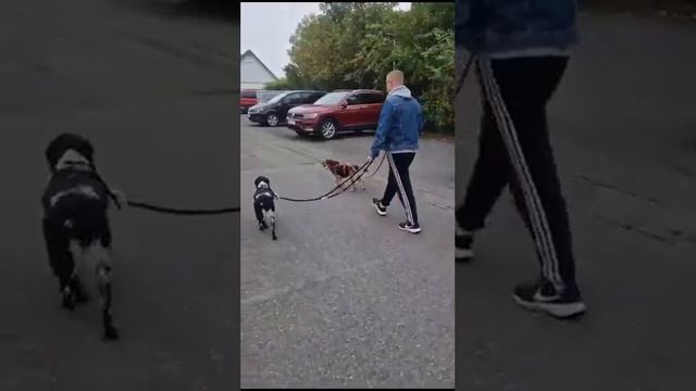 Бывшая жительница Приюта Тамаза Элизбарашвили ??? Счастлива в Германии в любящей семье ?? смотреть онлайн