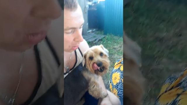 Деловая собака.Не ест мясо пока ей не пережуют. смотреть онлайн
