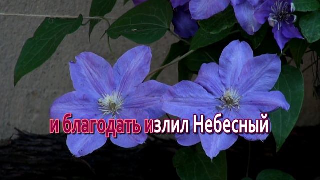 Общее Пение "Благословен Тот Дом", ц. "Евангельская Весть", г. Тирасполь смотреть онлайн