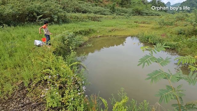 Orphan Boy's Life - Go Fishing And Bring Back A Big Fish To Eat, Wandering Life Alone