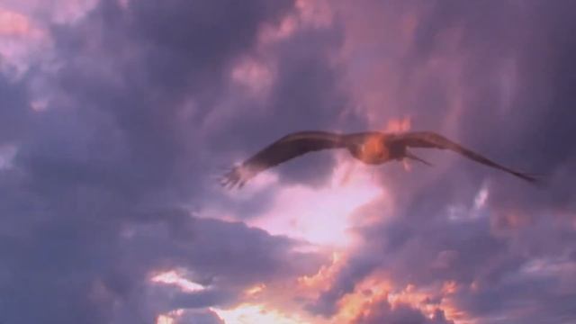 Башҡорттарым, уҡыу кәрәк! Караоке башҡортса. "Каруанһарай" төркөмө башҡара. смотреть онлайн