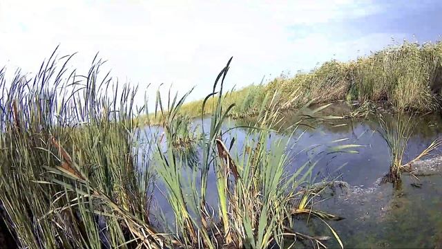 Охота на Утку 17.09.2021 Один с ночëвкой ?? смотреть онлайн