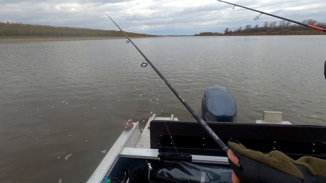 Щука 11+ кг. Рыбалка в Томской области. Конец сентября смотреть онлайн