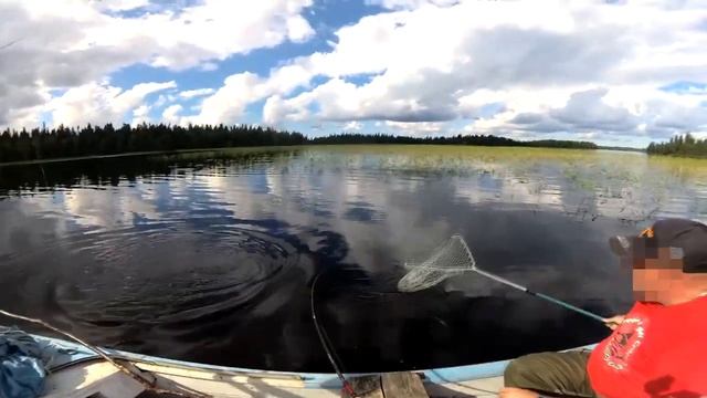 Клёвая рыбалка на спиннинг. Ловля окуня, щуки, язя. Рыбалка на озере. смотреть онлайн