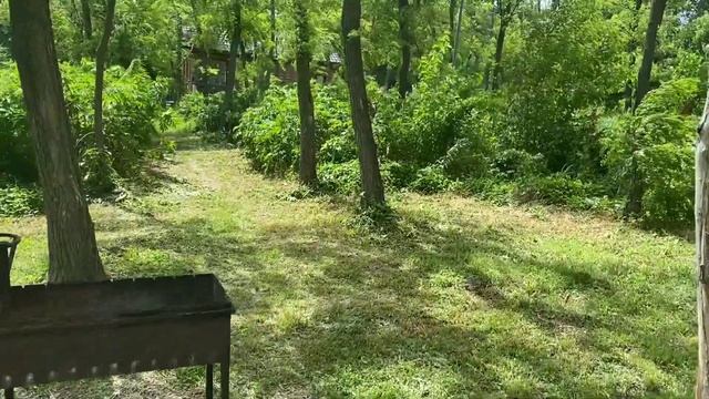 Отдых Рыбалка Камыши Краснодар лето 2021г. Куда поехать за город отдохнуть Как провести выходные