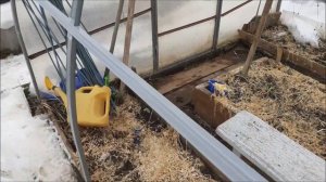 Усиление каркаса теплицы своими руками