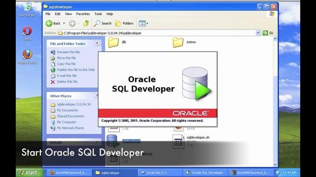 Show Me Password SQL Developer for Windows смотреть онлайн