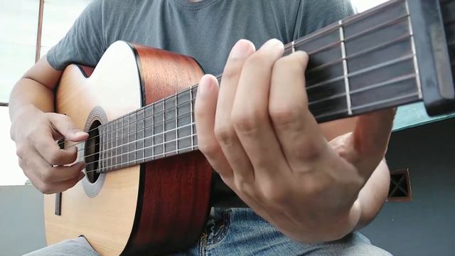 Suikoden I,II and V—Moonlight Night Theme Fingerstyle Guitar смотреть онлайн