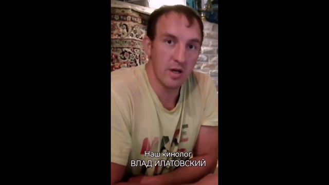Вопросы от владельцев САО. выпуск 1 смотреть онлайн
