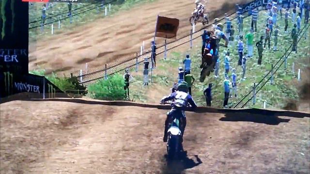 Природный уголок дома