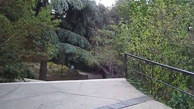 Никитский ботанический сад в Крыму. Ялта./Nikitsky Botanical garden. Yalta, Crimea Ч12 смотреть онлайн