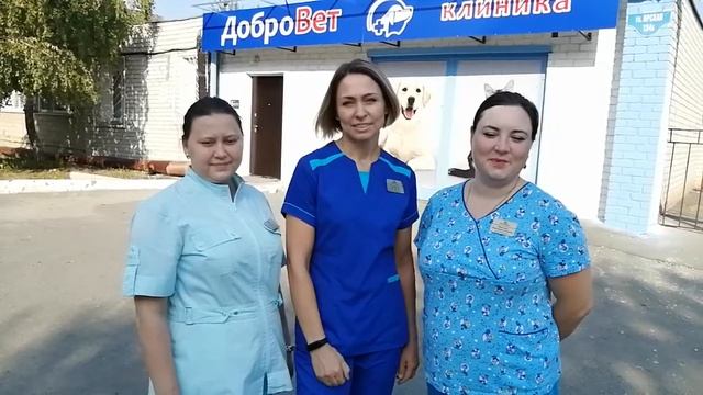 Коллектив «ДоброВет» поздравляет коллег с профессиональным праздником смотреть онлайн