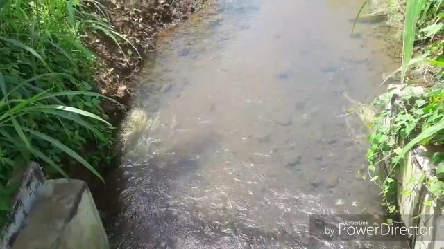 Ручей, вода в котором течет в разных направлениях смотреть онлайн
