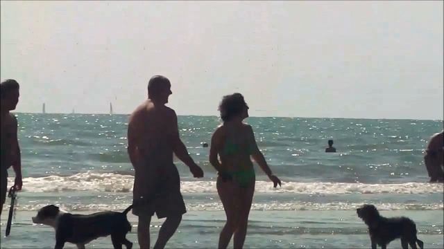 VLOG-МОРЕ 2013.НОЧНОЙ КЛУБ.ЦЕНЫ.TIRRENIA-CALAMBRONE.ТУР БАЗЫ ИТАЛИИ.БОЛТАЛКА. смотреть онлайн