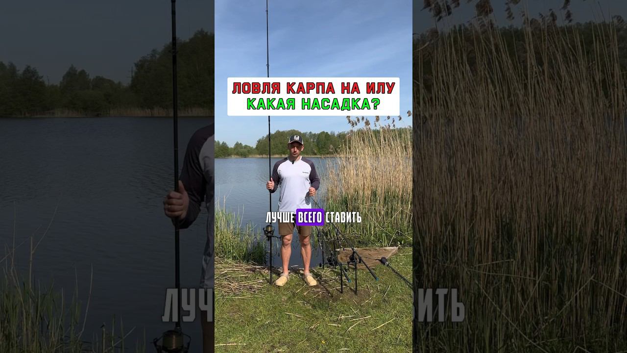 Лучшая насадка на карпа и сазана для ила #карпфишинг смотреть онлайн