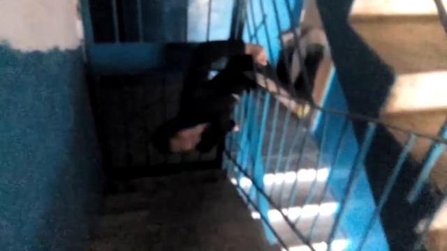 Как про лесть через железную решётку,оригинальный способ) смотреть онлайн