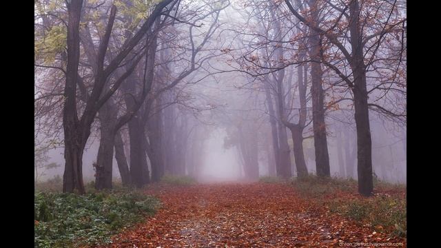 "На исходе лета" (стихотворение В. Гаазова) смотреть онлайн