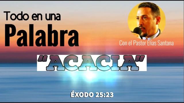 Acacia. Éxodo 25:23 смотреть онлайн