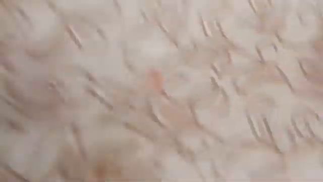 КАК ОЧИСТИТЬ ЛИНОЛИУМ ОТ СКОТЧА. смотреть онлайн