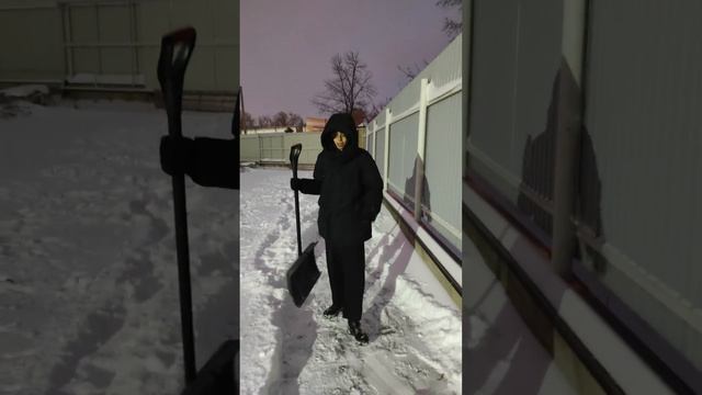 БЫСТРО ЧИСТИМ СНЕГ ВО ДВОРЕ смотреть онлайн