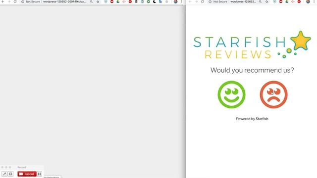 Starfish Reviews on WordPress demo for version 1.6 смотреть онлайн