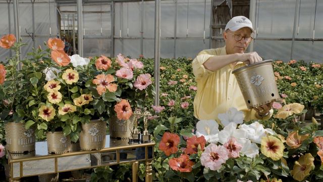 How to Find Your Hollywood Hibiscus смотреть онлайн