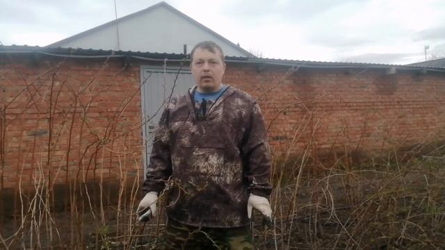Самая надёжная и проверенная годами обрезка летней малины. смотреть онлайн