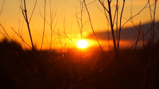Sony A65 & Tokina 28-70 2,8 ATx Pro смотреть онлайн