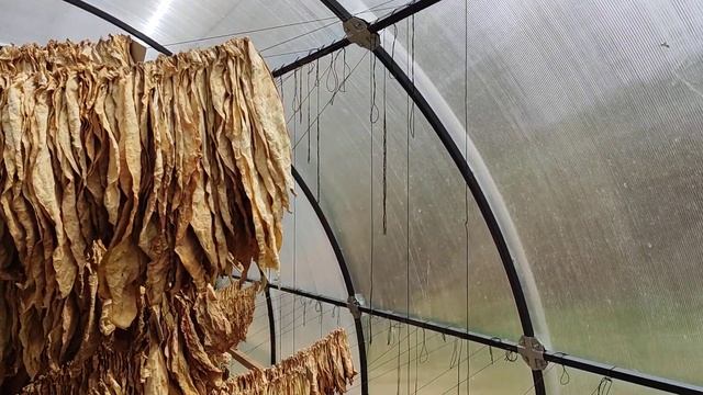 Чем закрыть теплицу?