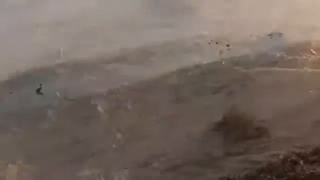 Охота на утку за рубежом смотреть онлайн
