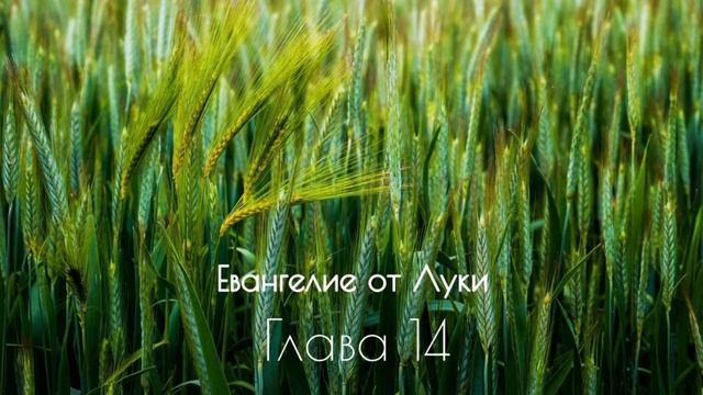Евангелие от Луки, глава 14 смотреть онлайн
