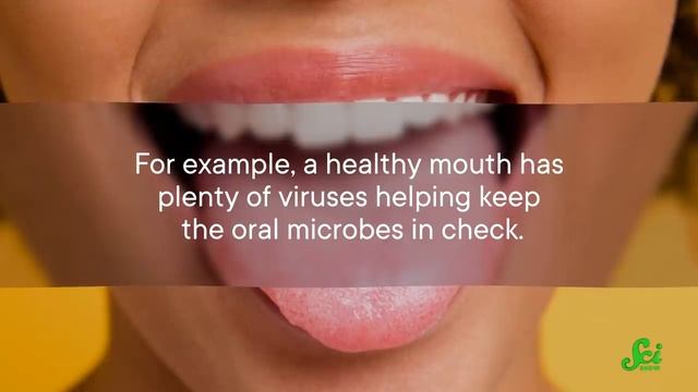 What If All Viruses Vanished? смотреть онлайн