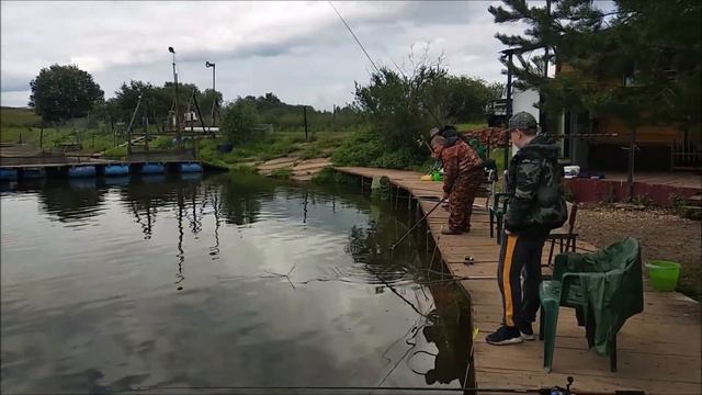 Поимки осетра с первого сектора!!!Клевое Место д.Савельево смотреть онлайн