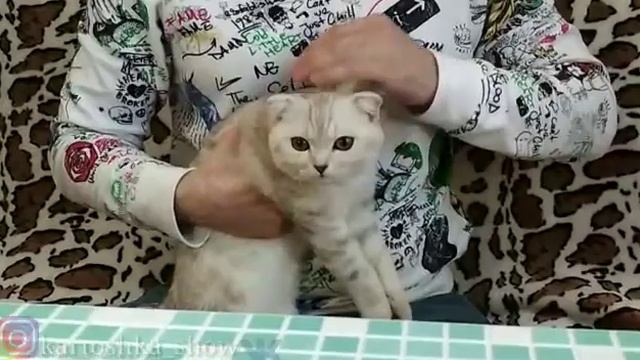 Вкусные рецепты от Дарьи