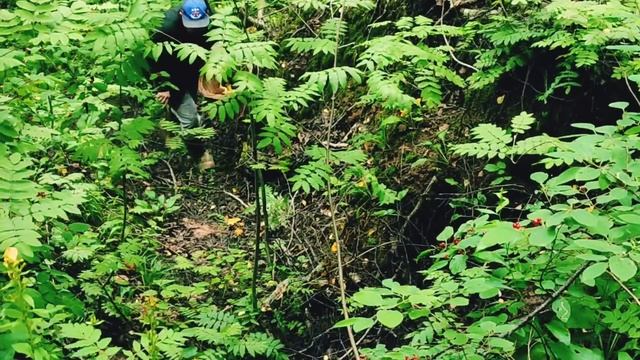 ОТДАЛА детей! Муж Приехал и Забрал? Всё СВОЁ смотреть онлайн