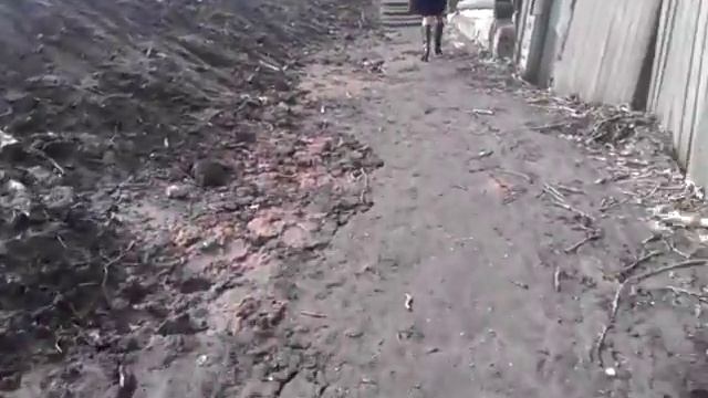 Тротуары в новгородской области, г. Боровичи. Между Москвой и Питером))) смотреть онлайн