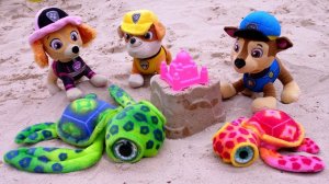 Игрушки Щенячий Патруль помогают черепашкам найти домик — Видео ИГРУШКИ для самых маленьких