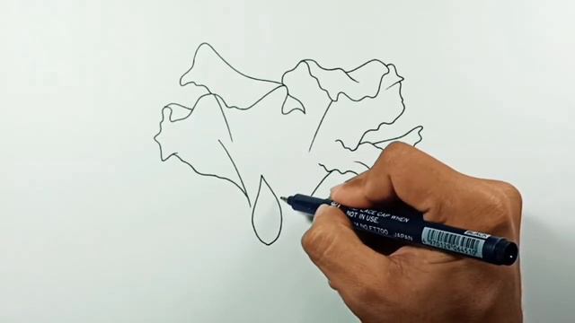 How to draw Azalea Flower смотреть онлайн