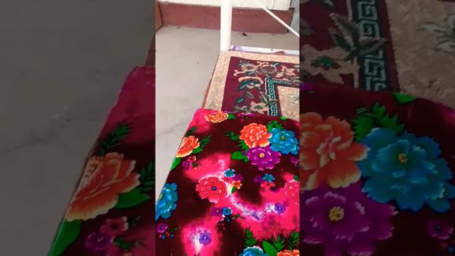 Всевышний Аллах сказал: - ни один человек не знает..... смотреть онлайн