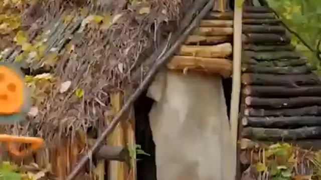Электричество в лесу✅ смотреть онлайн