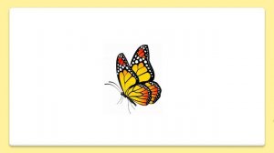 Rainbow English 2  класс. Is it ...? Yes, it is. No, it isn't. Общие вопросы с глаголом be.