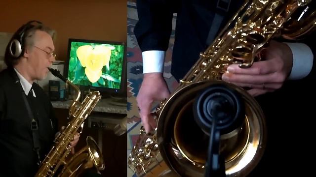 Hello - baritone saxophone - Runyon Quantum Delrin # 19 - Fibracell medium смотреть онлайн