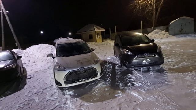 Авто из Японии оптом, свежий привоз. Сакура Авто Ижевск смотреть онлайн