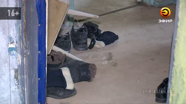 Трупный запах поглотил подъезд и квартиры дома 64 по ул. Адоратского.