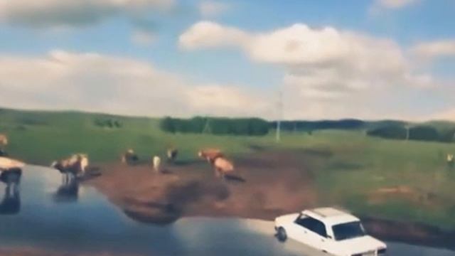 Деревня Москва смотреть онлайн