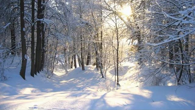 СЛАЙД-ШОУ. КРАСИВЫЕ КАРТИНКИ. ЗИМА. смотреть онлайн
