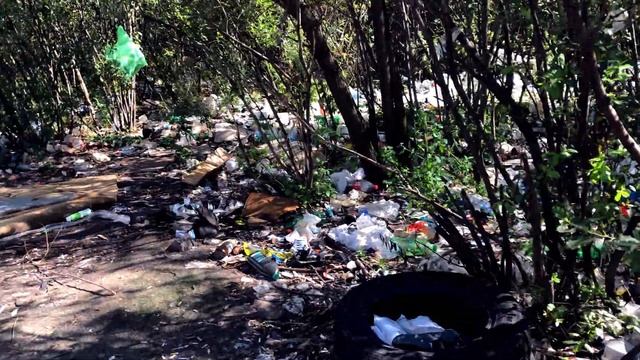 Добро пожаловать в свинарник! смотреть онлайн