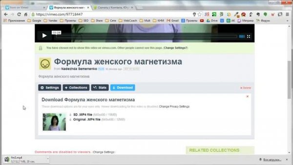 Vimeo. Как скачать видео с сервиса Vimeo