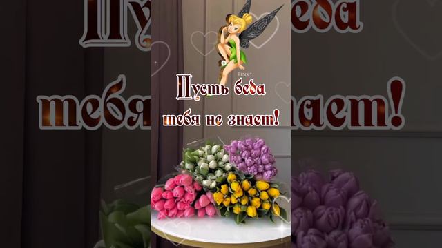 26 февраля С днём Ангела Светлана, Светочка ❤️ смотреть онлайн